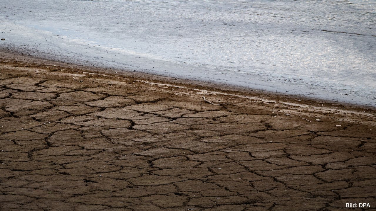 Niedrigwasser: Rhein-Pegel auf Rekordtief