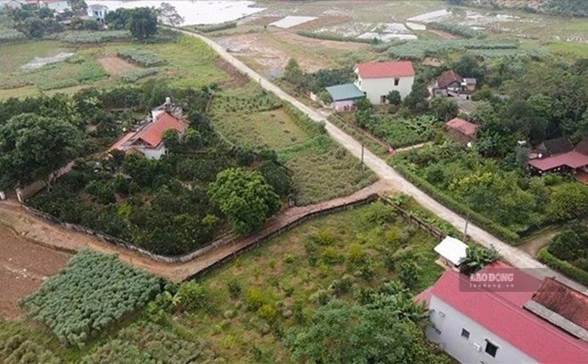 Giải đáp phí chuyển đổi đất trồng cây lâu năm sang đất ở