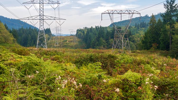 Puget Sound Energy customers pack hearing to voice concerns over proposed rate hikes