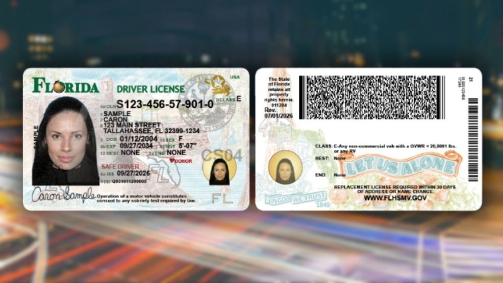 From oranges to alligators, Florida’s new driver license is a mini ...