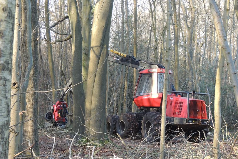 Work planned at Surrey Hills beauty spots in major project to tackle ...
