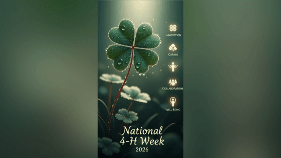 Brooke County leaders tout 4-H’s role in youth leadership ahead of ...