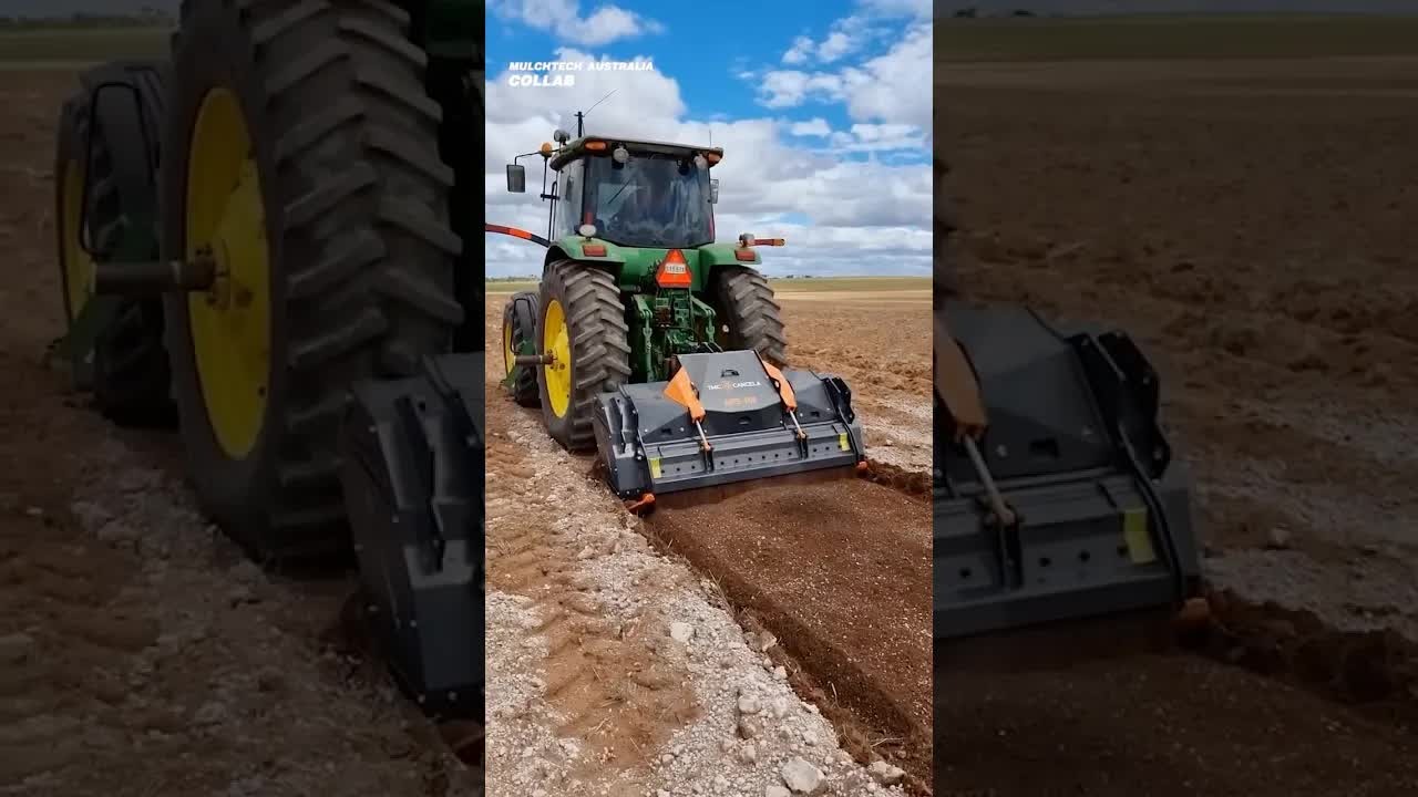 These trees met the machine that does not understand 