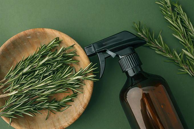 Home remedies for fleas: 11 easy tips worth trying