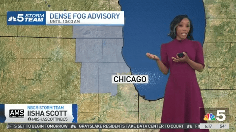 Chicago weather: Dense fog and low visibility, with multiple rounds of ...