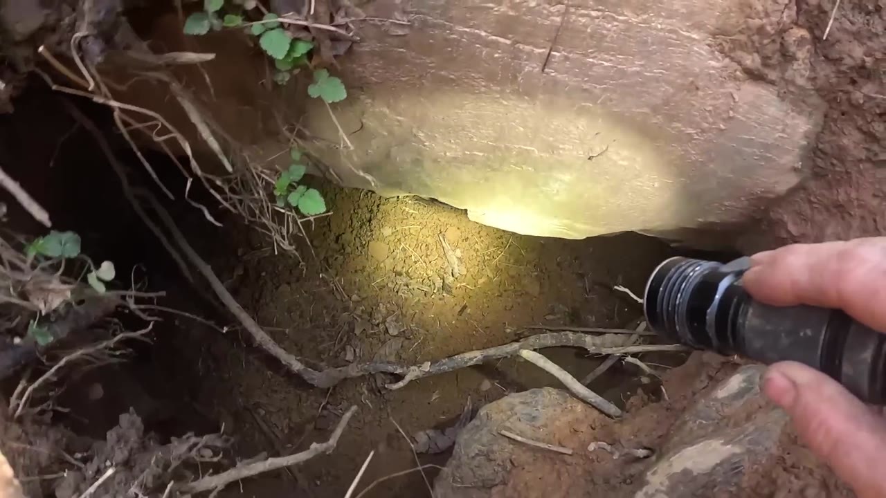 A viewer spotted a possible spear point in his video. He went back to ...