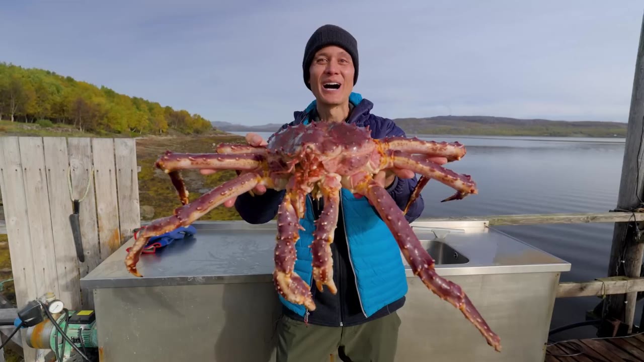 This giant king crab came straight from the cold ocean… minutes later ...