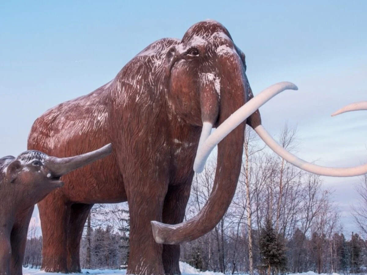 Why bringing back the woolly mammoth isn’t a simple cloning job ...
