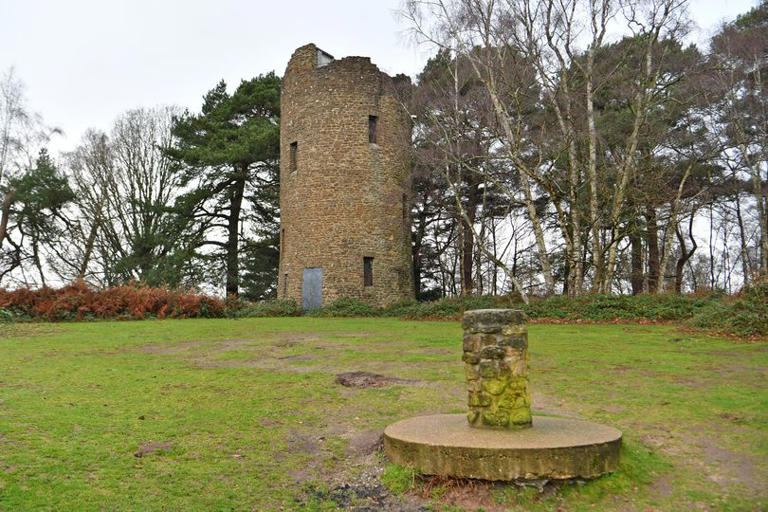 Work planned at Surrey Hills beauty spots in major project to tackle ...