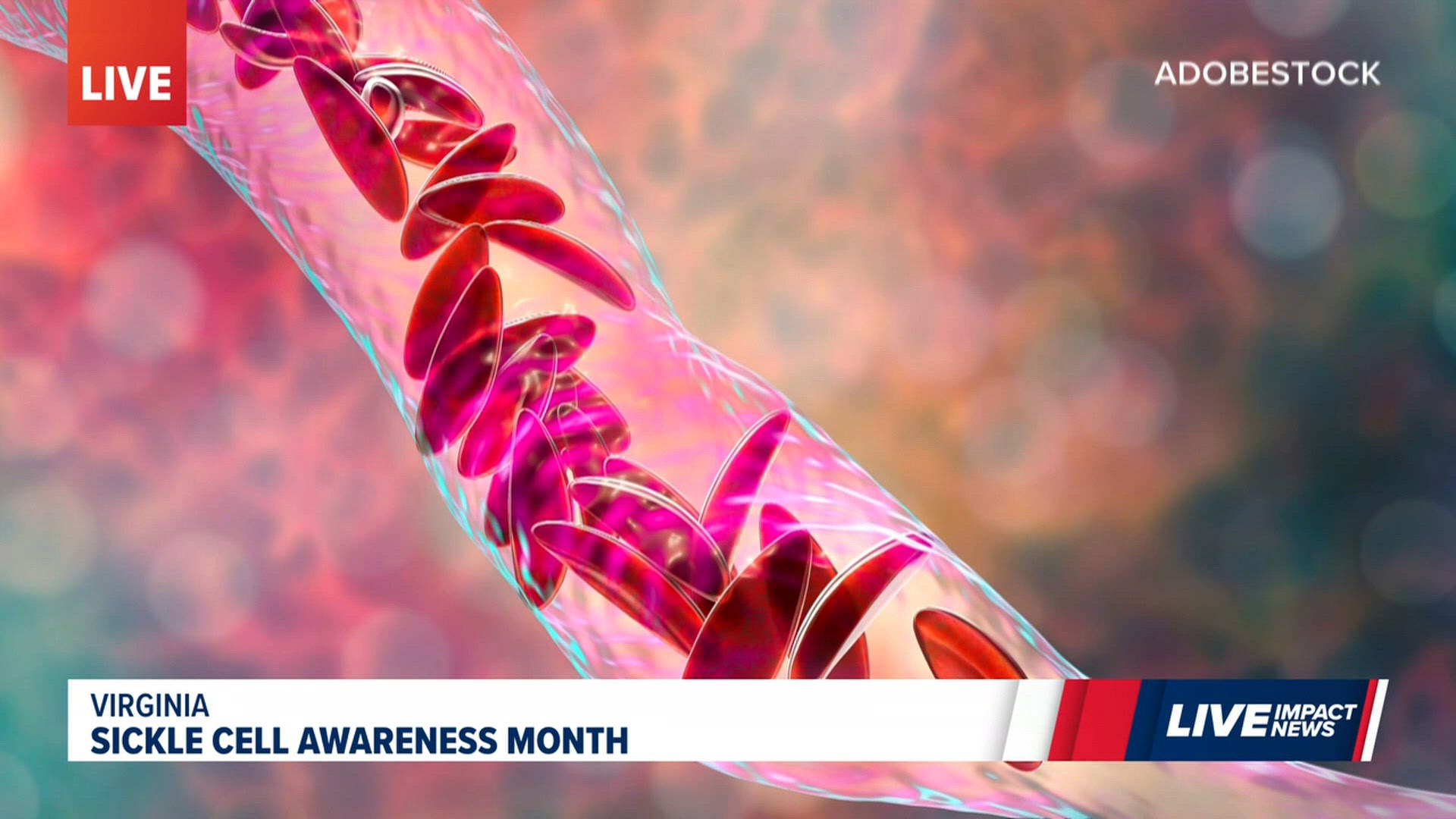 Sickle cell awareness month in Virginia