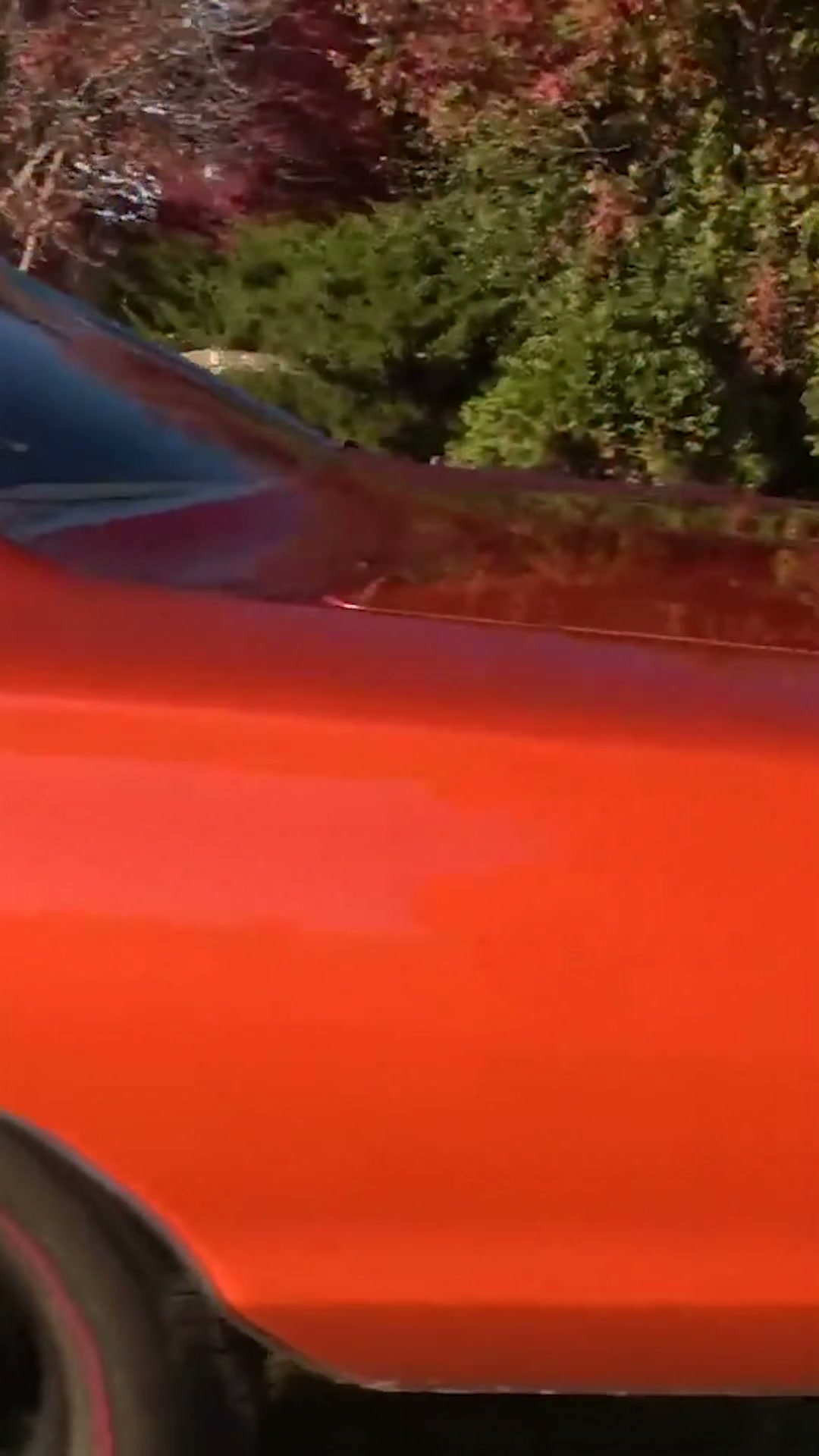 69 Dodge Super Bee