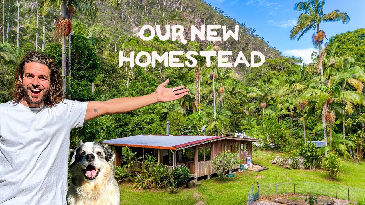 Inside my dream off-grid property
