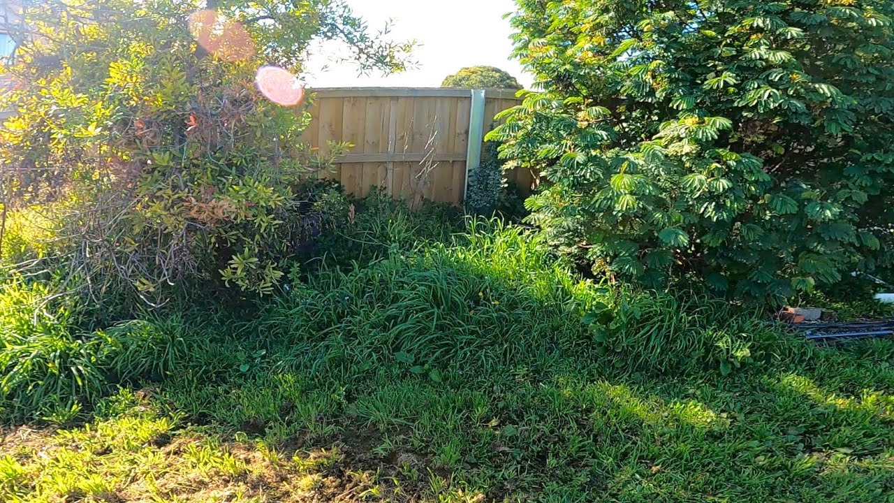Aussie yard glow-up: 7 hours, 3 tip runs