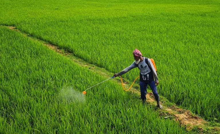 Pesticide overuse in J&K