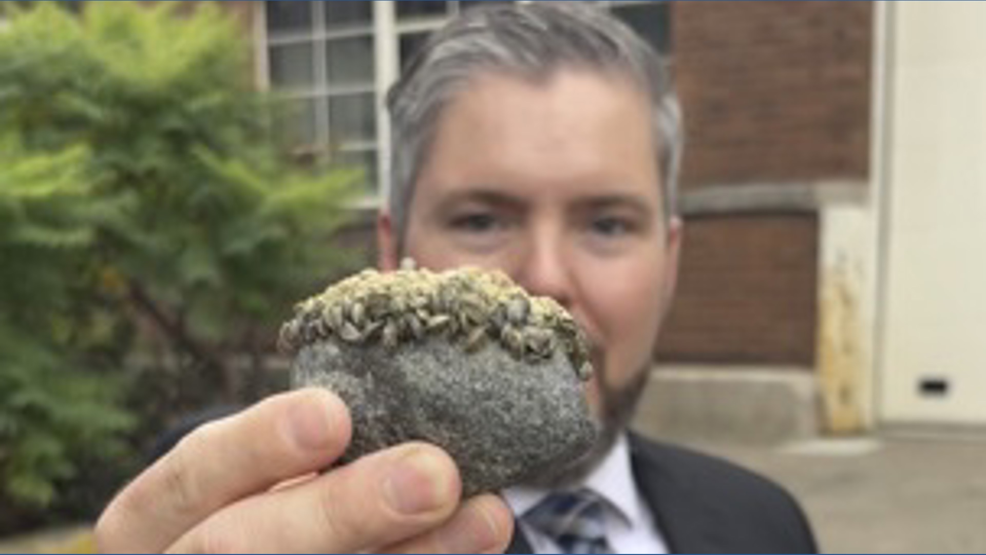 U of M study shows zebra mussels are causing higher levels of mercury ...