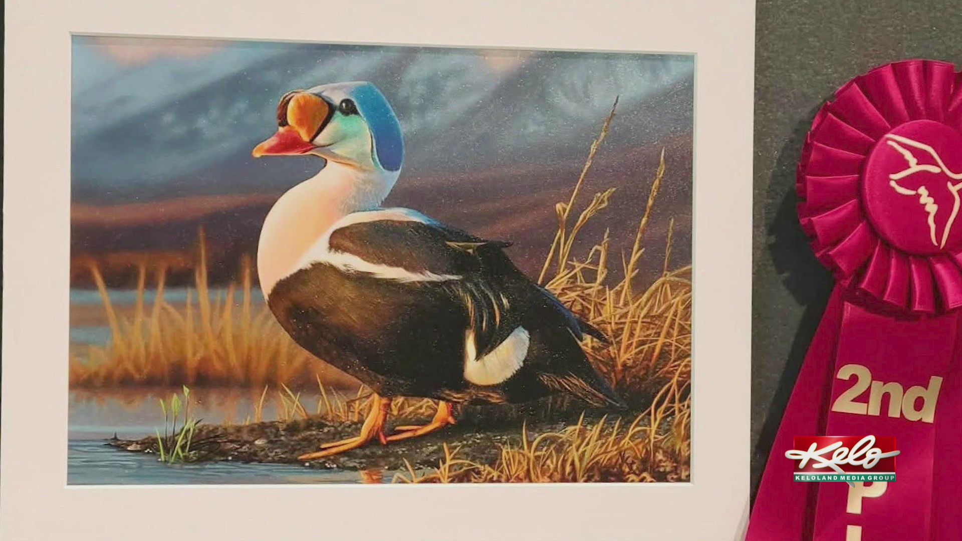 Wallace, SD local earns second place in duck stamp contest