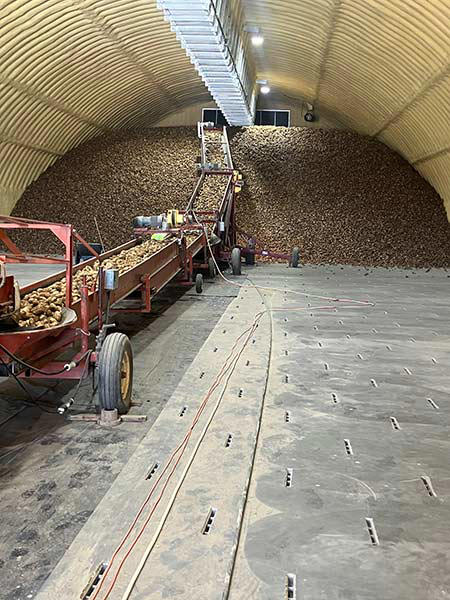 Eastern Idaho spud harvest underway as farmers grapple with drought, heat