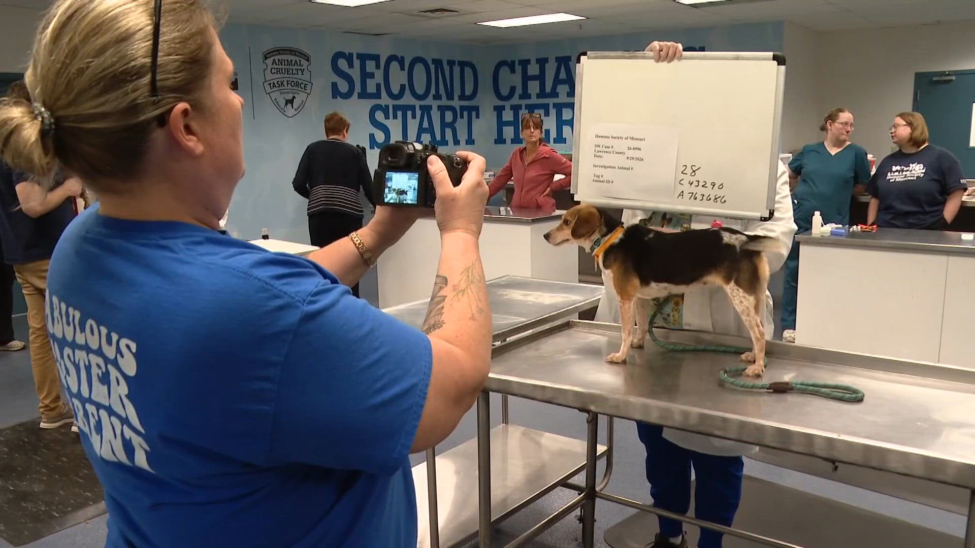 Rescue workers treat 100 animals after they were rescued from filthy ...