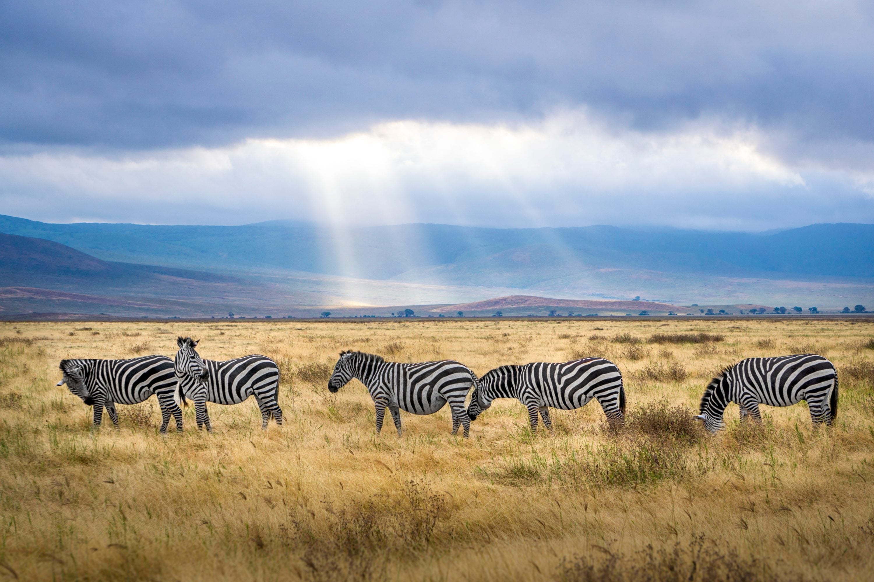 Tanzania will require travel insurance for visitors starting October 1