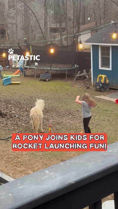 Pony joins children in backyard for rocket launcher fun