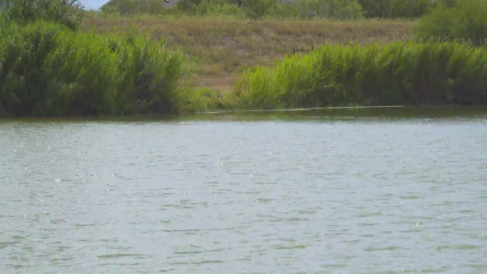 Texas State, Kyle launch project to improve water quality at Lake Kyle
