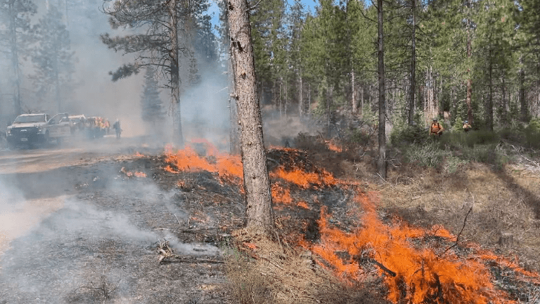 Shasta-Trinity National Forest plans prescribed fires; residents may ...