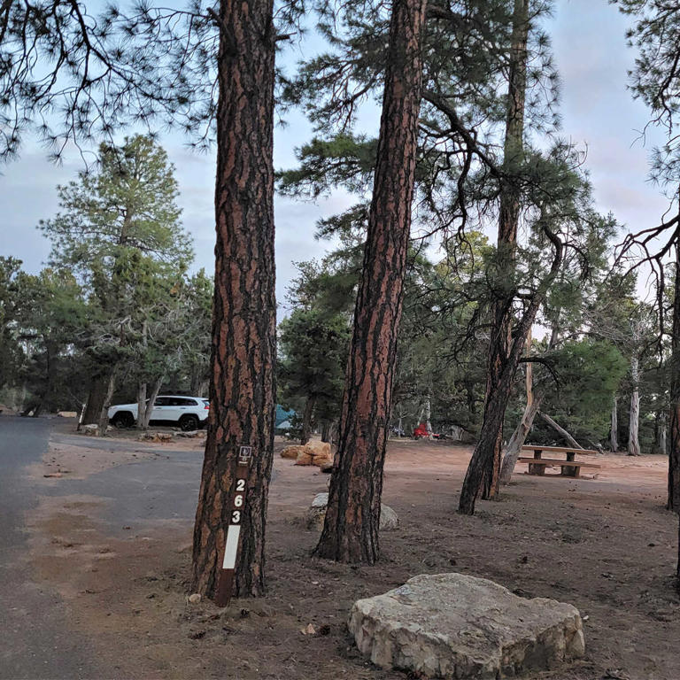 Mather Campground: 327 sites in the heart of Grand Canyon National Park