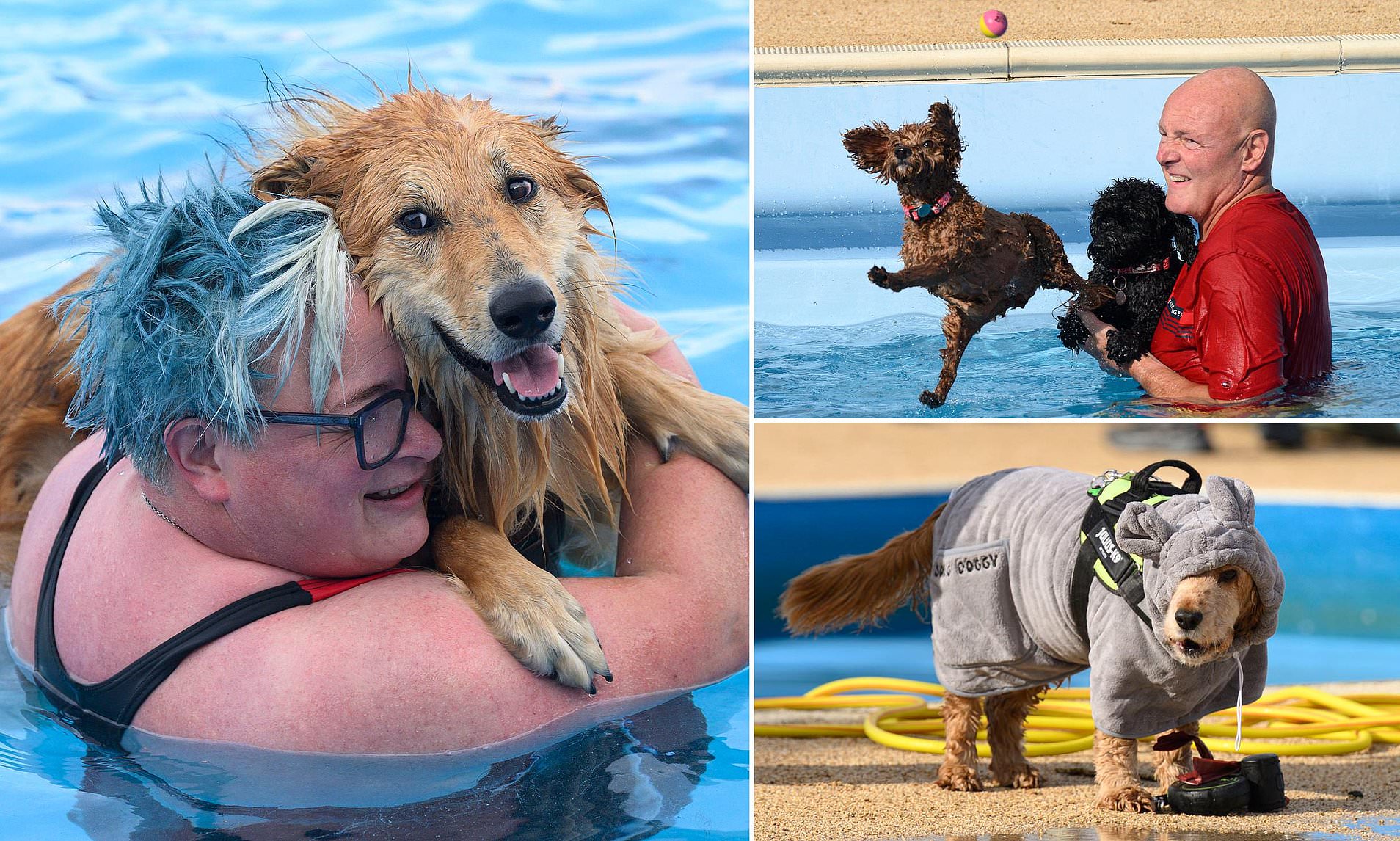 Who's a good buoy! Playful pooches make a splash in luxury heated lido