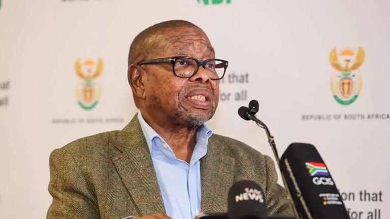 Nzimande warns R2.5bn US research cuts expose South Africa’s funding ...