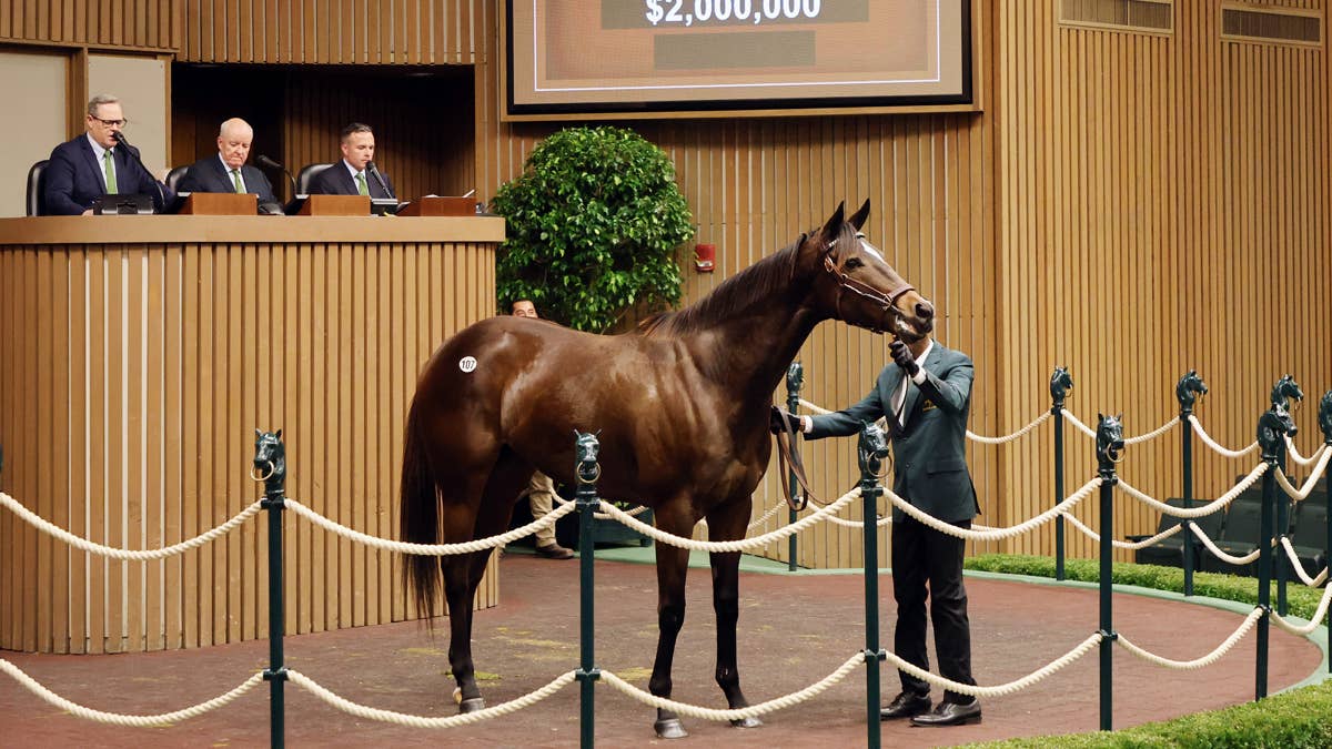 Keeneland catalogs 3,397 horses for 2026 November breeding stock sale