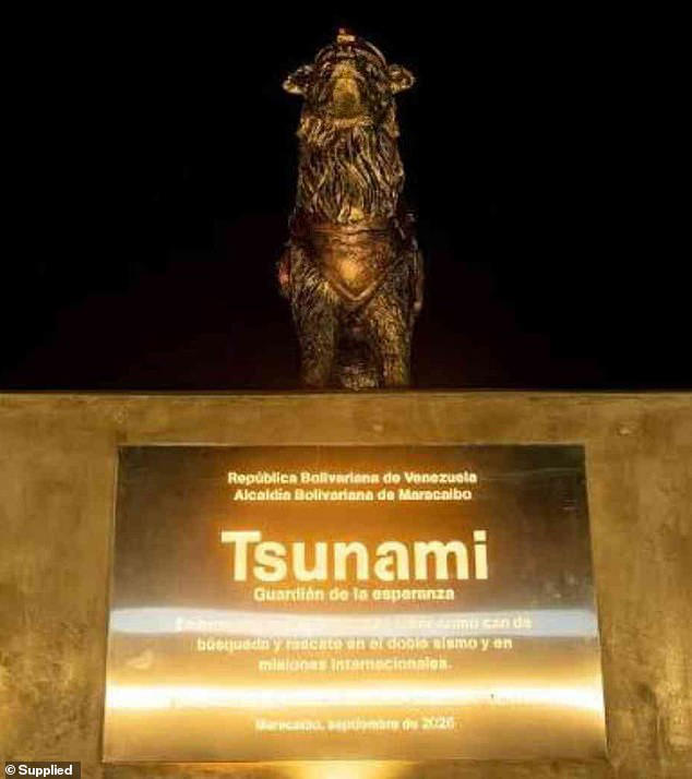 Puppy love! Statue honouring dog that helped rescue victims after ...