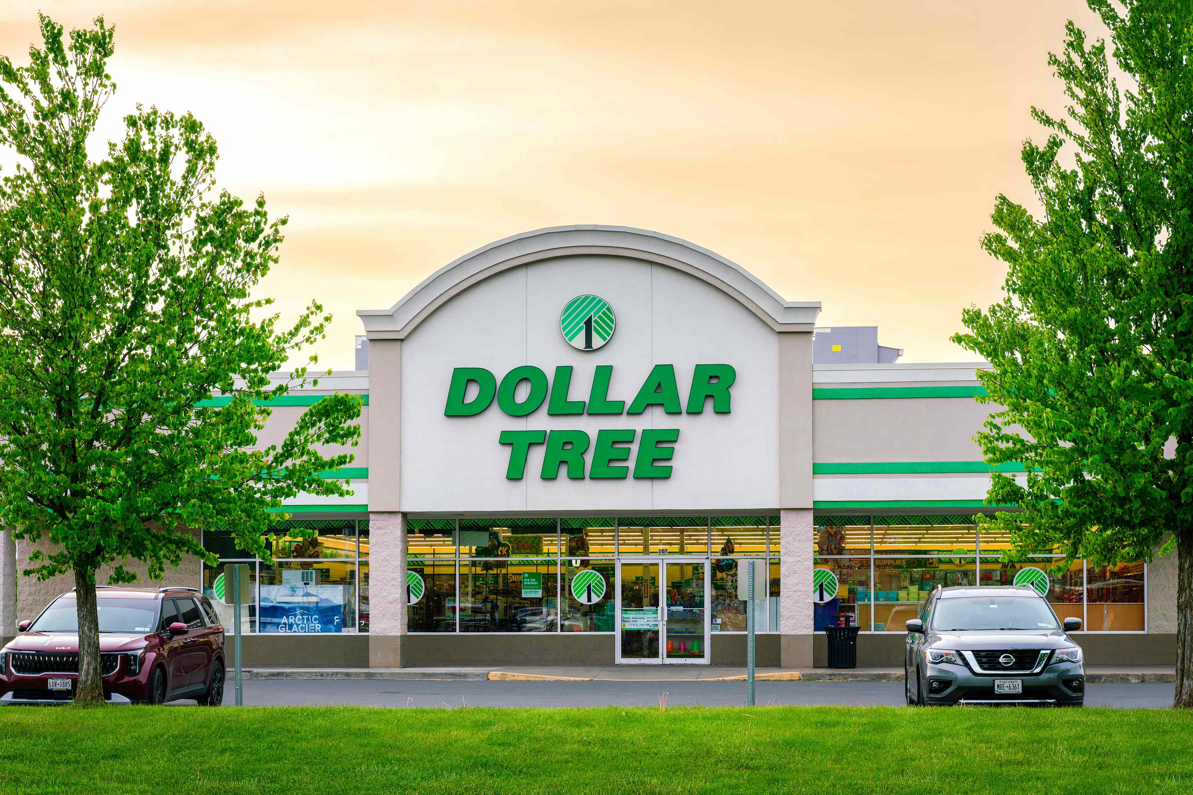 The $1.50 Dollar Tree plates I’m buying in bulk for Thanksgiving (they ...