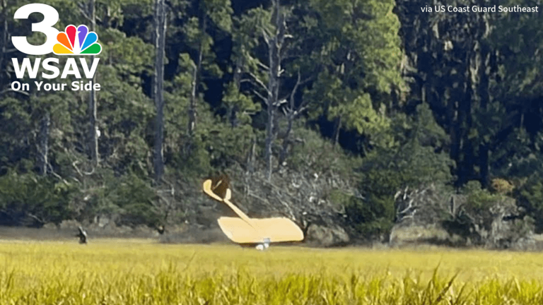 Coast Guard, DNR rescue pilot after small plane crash on Jekyll Island