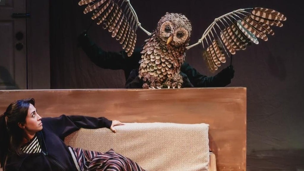 Chicago's Destinos International Theater Festival brings Latino stories ...