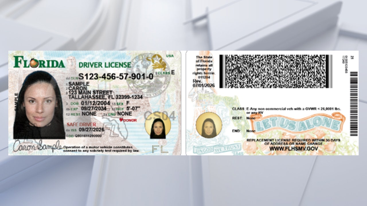 Florida unveils new driver license and ID card design filled with state ...