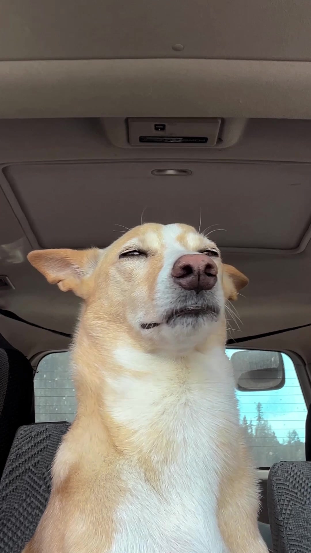 Are we there yet?