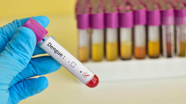 Dengue fever outbreak triggers states of emergency in 3 southern counties
