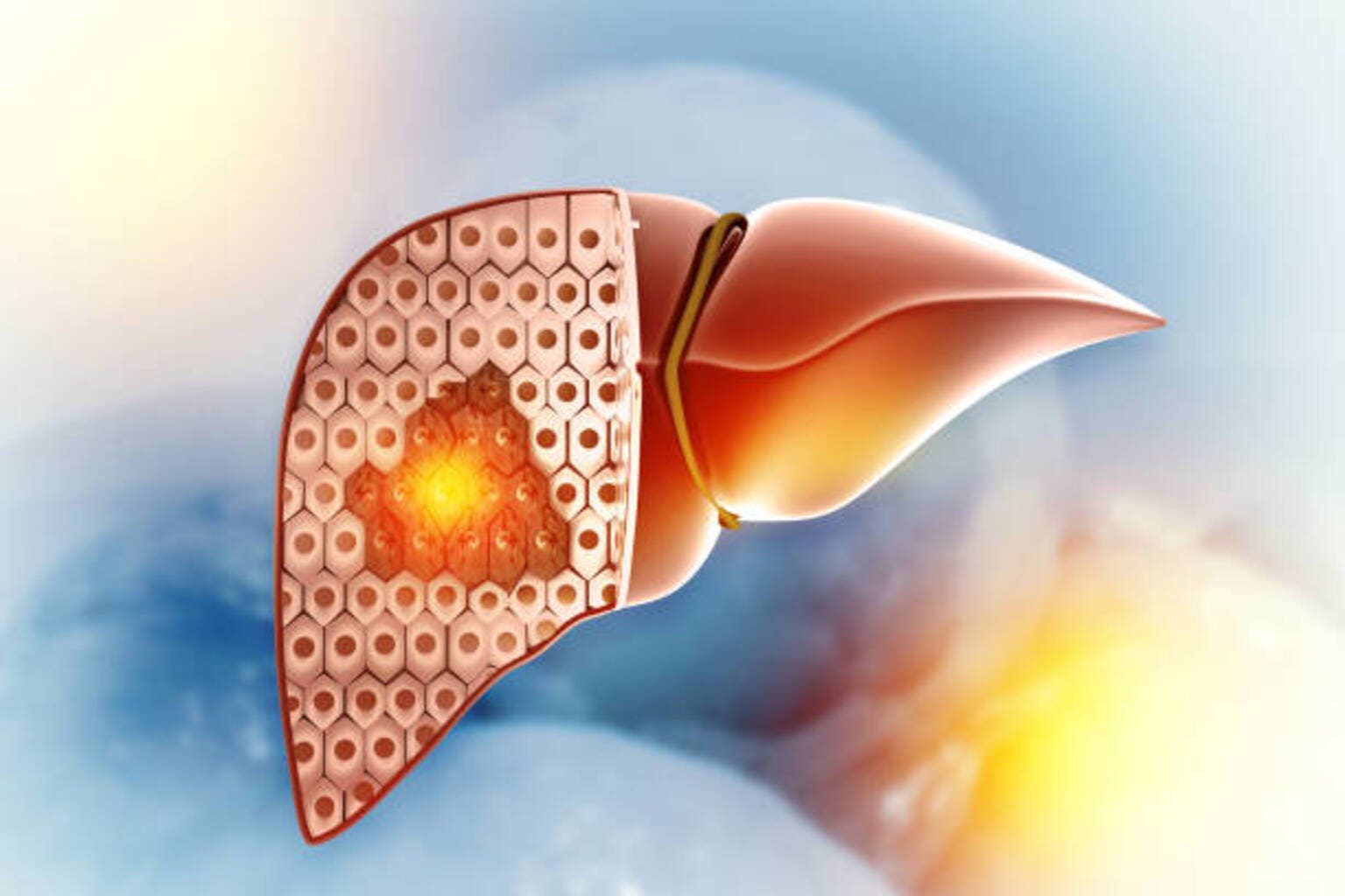 Potential liver safety issue seen in phase 3 trial for Bristol's ...