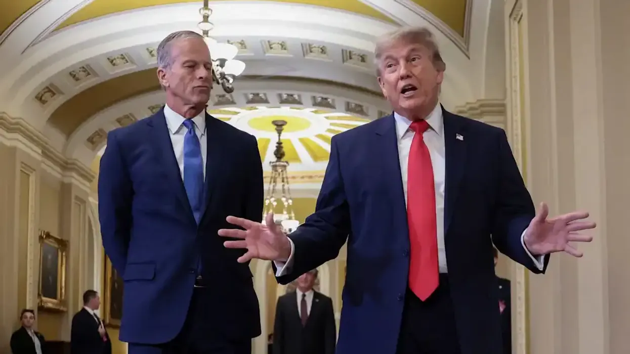 Thune doubles down on Trump's 'dubious' mega-MAGA strategy