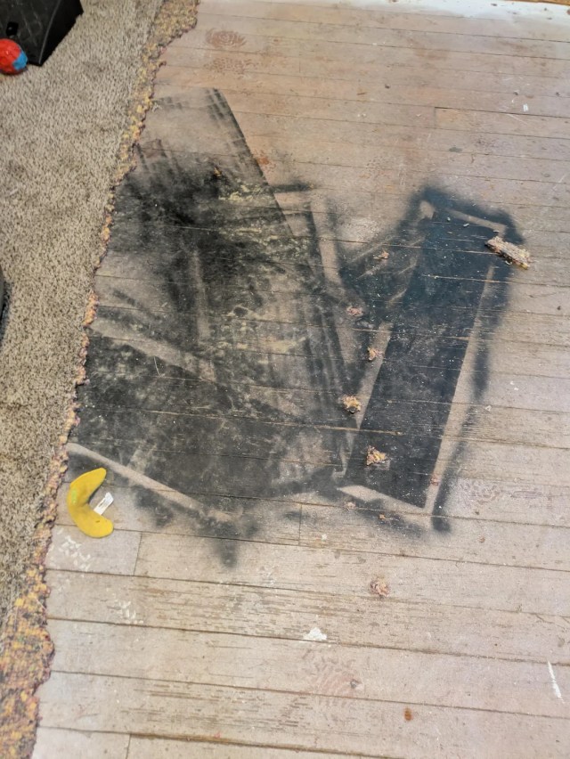 Homeowner pulls up carpet in flipped house, finds hardwood spray ...