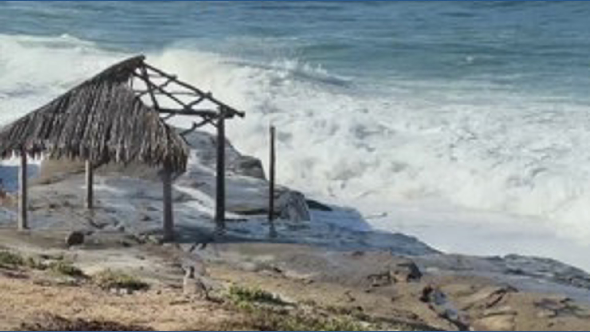 Surf report | Sept 29
