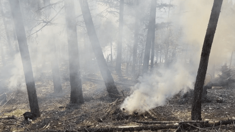 Shasta-Trinity National Forest plans prescribed fires; residents may ...