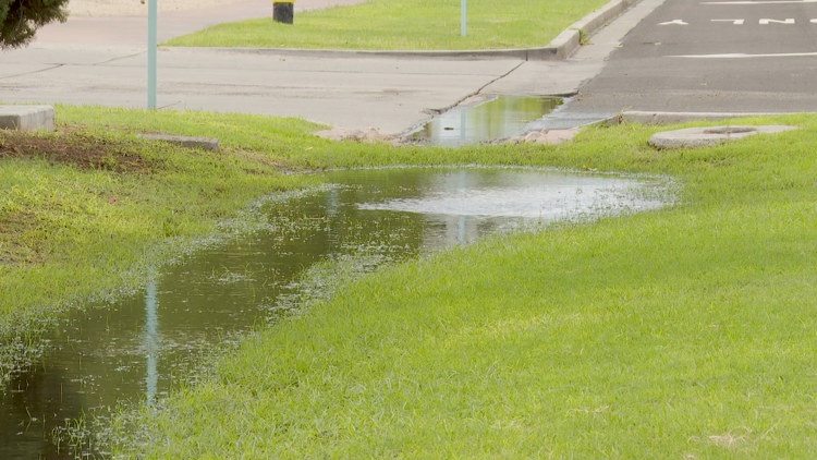 Storms expected to create uptick in mosquitoes