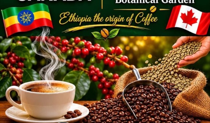 Toronto expo opens new path for Ethiopia–Canada coffee trade