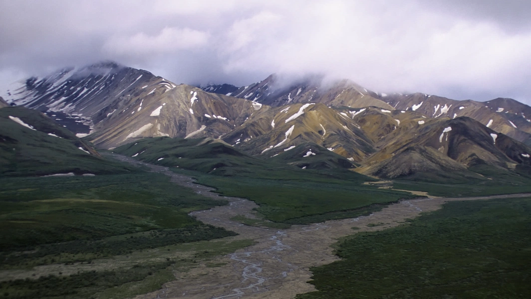 Polychrome Pass Landscapes And Wildlife In Denali