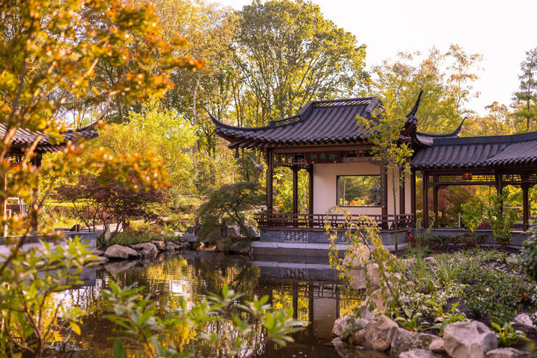 The 12 best gardens to see spectacular autumn leaves in the UK