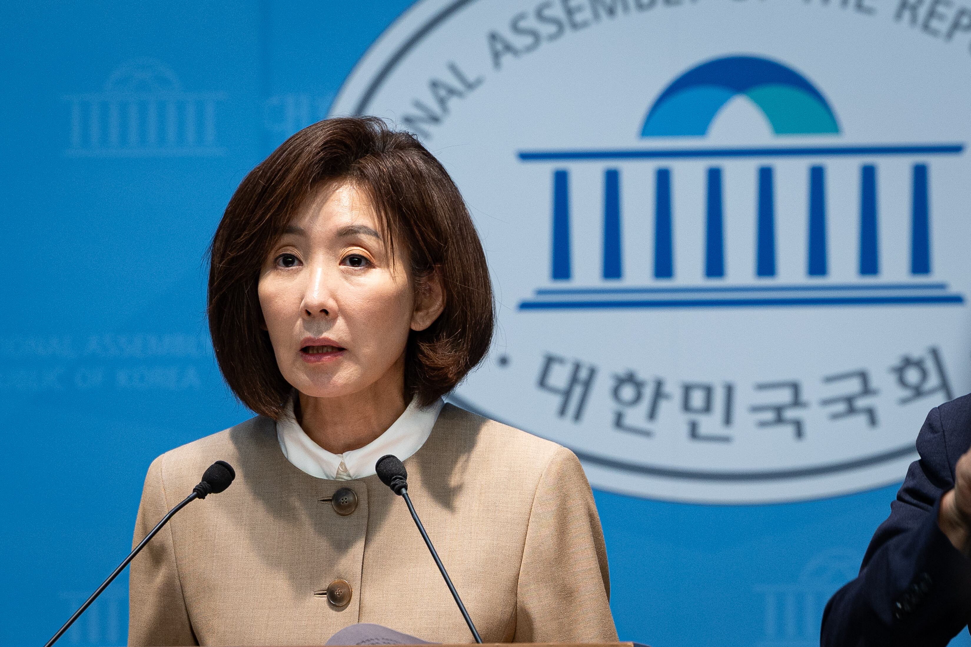 Democratic Party labels Na Kyung-won's Ukraine letter 'treasonous'