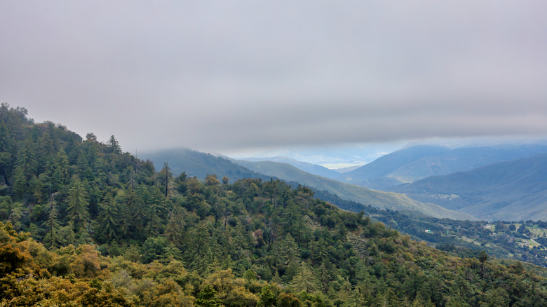 This underrated California park offers Pacific views and majestic ...
