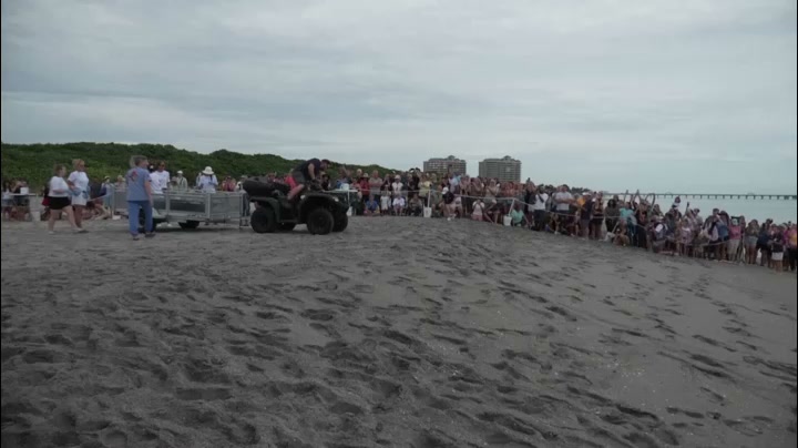 Rehabilitated green sea turtle Jurassic returns to Atlantic