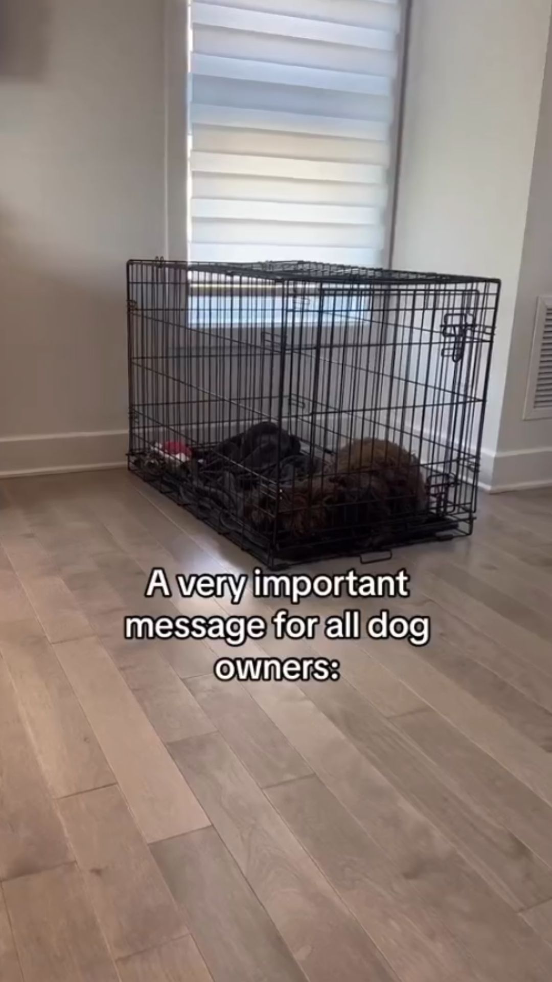 What new puppy owners should know about crate training
